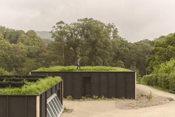 The roof garden of the new Monbulk home keeps the interior cool and absorbs carbon.