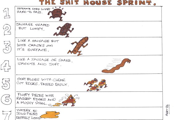 Don’t poo-poo it: Rob Lymer’s Shit House Sprint cartoon. 