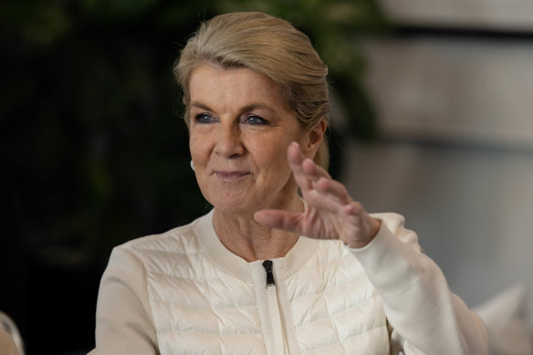 Former foreign minister Julie Bishop.