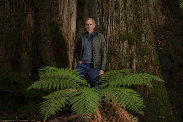 Bob Brown Foundation is launching legal action against native forest logging in Tasmania. 