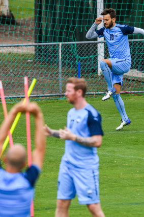 Own goal: Milos Ninkovic has been training apart from the rest of the squad.