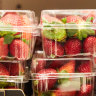 Fifth case of strawberry contamination found in NSW