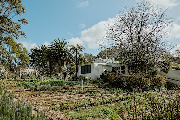 Produce from the productive kitchen garden features on the menu.