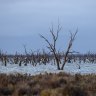 Murray Darling Basin water recovery to be halted by Nationals senators