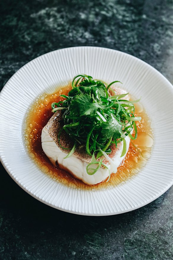 Steamed Queensland coral trout with ginger, shallot and white soy.