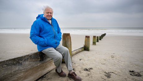 David Attenborough in Ocean With David Attenborough.