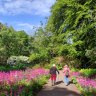 The “Impossible Garden” that was planted in the 1860s.