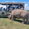 Seeing the world’s loneliest animal moved me to tears. Now there’s hope