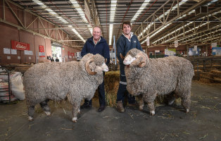 Craig Dewar, left, and son Lachlan Dewar with two of their prized rams.