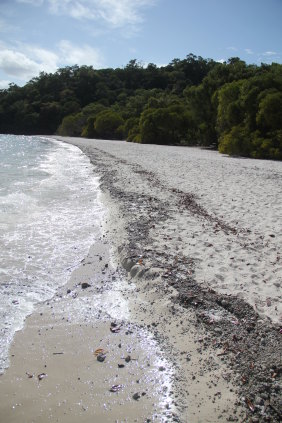 Pumice washed up on beaches in Queensland in 2013 following the 2012 eruption of the Havre Seamount volcano, the largest of its kind in 50 years.