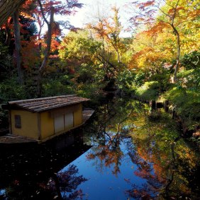 Beauty and tranquillity at the Nezu garden