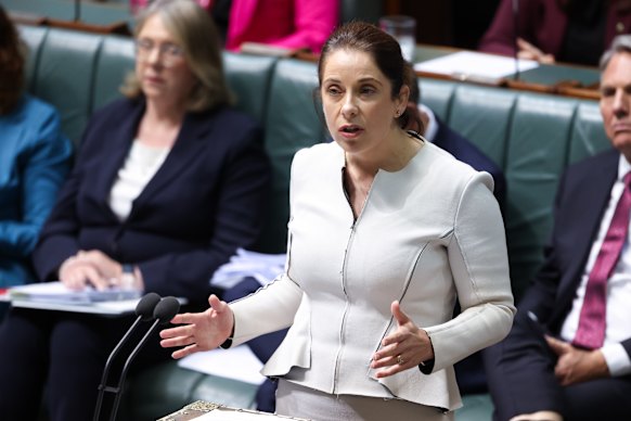 “Global reckoning” on big tech: Communications Minister Anika Wells.