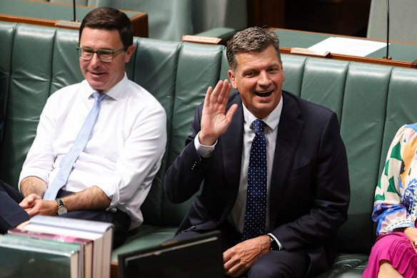 Angus Taylor lost a challenge for the leadership to Sussan Ley after the Coalition’s election wipeout last May.