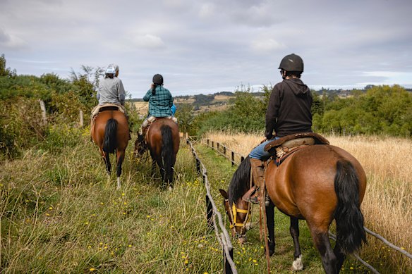Exploring by horseback.