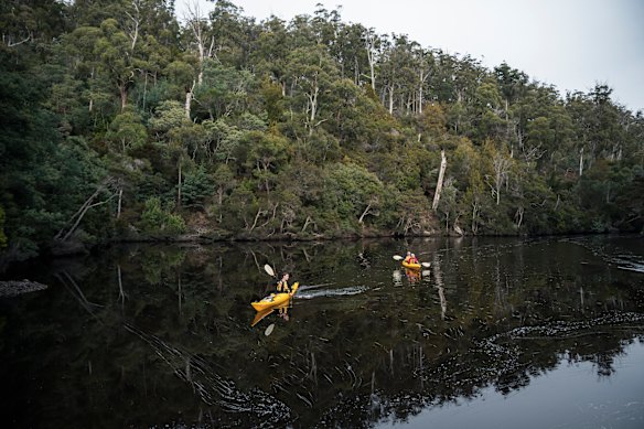 Paddling Ansons River.