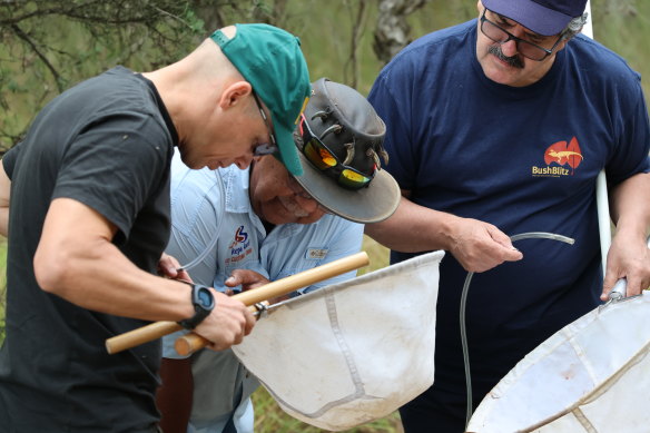 Dr Nik Tatarnic, Doc Reynolds and Dr Gerry Cassis examine their discovery. 