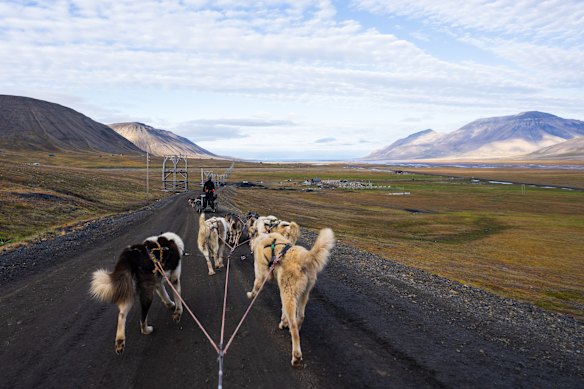 Summer dog sledding at Svalbard’s Basecamp Explorer husky station.