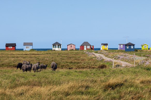 Sitting between Zealand and Jutland, the serene Danish island of Fyn is replete with dairy farms and fishing villages.
