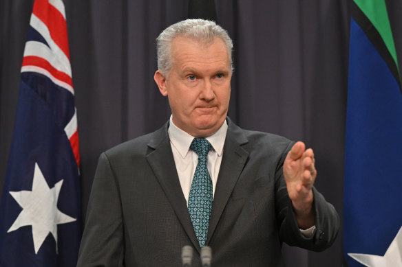 Employment and Workplace Relations Minister Tony Burke on Wednesday.