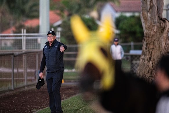 David Hayes runs his eye over Ka Ying Rising at Canterbury this week.