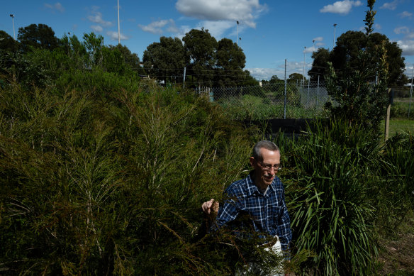 Randwick resident Anthony Ryan says the plans to build defence housing on the site should be halted.