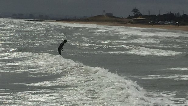 Surfing in the bay: a "groyne rider" in action.
