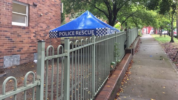 A search is under way in the gardens of the public housing block in Surry Hills.