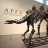 ‘Apex’ the stegosaurus skeleton at Sotheby’s New York in New York.