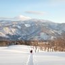 Swallowed by white, this is a different sort of hike