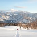 The sun is out but the snow is deep.