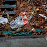 Hutcheon said single-use plastics used outside the home lead to the most litter. 