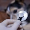 A Perth vet has had his registration cancelled following complaints from two pet owners.