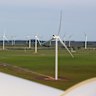 The Queensland government paused approvals for new wind farms.