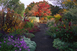 The colourful charm of Lambley Gardens & Nursery near Ballarat.