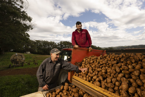 on Hill with his son Ryan Hill on their potato farm in Wildes Meadow in NSW. They will be participating in the Robertson Potato Festival.