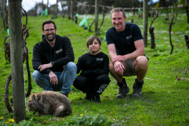 What pandemic? Steels Gate winery owners Brad Atkins (left) Matthew Davis, and son Sebastian with Ewok the wombat