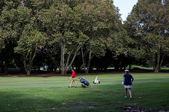 Plans are afoot to take some golf out of Moore Park Golf Course. 