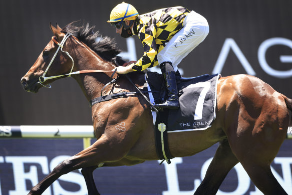 Remarque was powerful to the line with the promise of more to come after his win at Rosehill on Saturday.