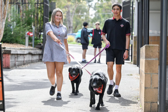 St Helena’s students are given briefings before spending time with the dogs.