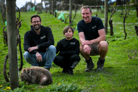 What pandemic? Steels Gate winery owners Brad Atkins (left) Matthew Davis, and son Sebastian with Ewok the wombat
