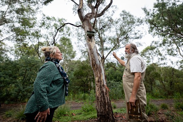 Annette Salkeld (left) and Peter Wiltshire beneath a nest box in a part of Darebin Parklands that was damaged over summer.
