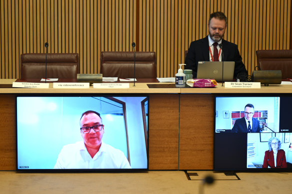 CEO of Cbus Super Kristian Fok appears via video link during a public hearing of a Senate committee on Thursday morning. 