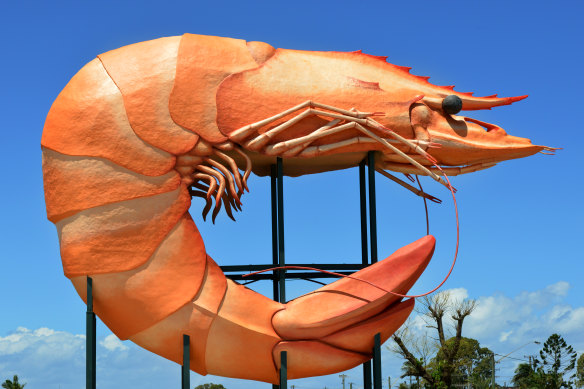 The Big Prawn, one of Australia’s best-loved Big Things, is found in Ballina.