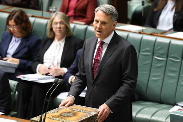 Deputy Prime Minister Richard Marles.
