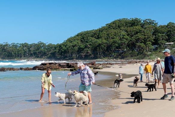 Having a pet can be a saviour for the lonely and yet pet-owners continue to bear the brunt of “etiquette” laws.