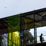 Rainbow lorikeets are failing to see the clear glass panels of the bridge which now sits over their habitat. 