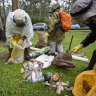 Clean Up Australia Day volunteers in West Pennant Hills on Friday.