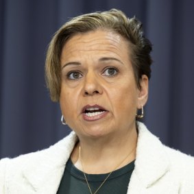 Minister for Communications Michelle Rowland.