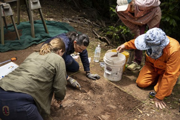 The dig is part of the Australian Museum’s first in-depth scientific expedition to Norfolk.