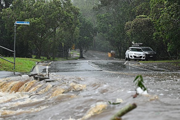 Ex-Tropical Cyclone Alfred was the latest storm to pump sediment into the bay.